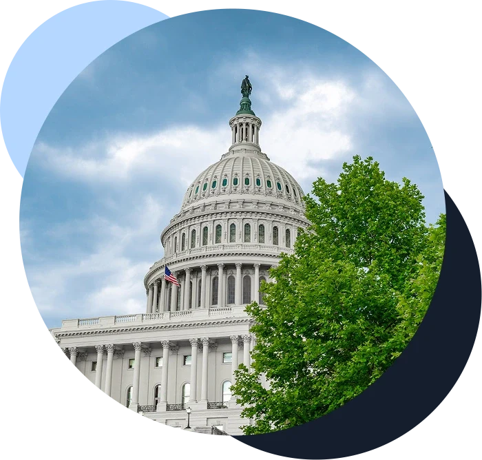 US Capitol dome in Washington DC sits behind a large green tree at right